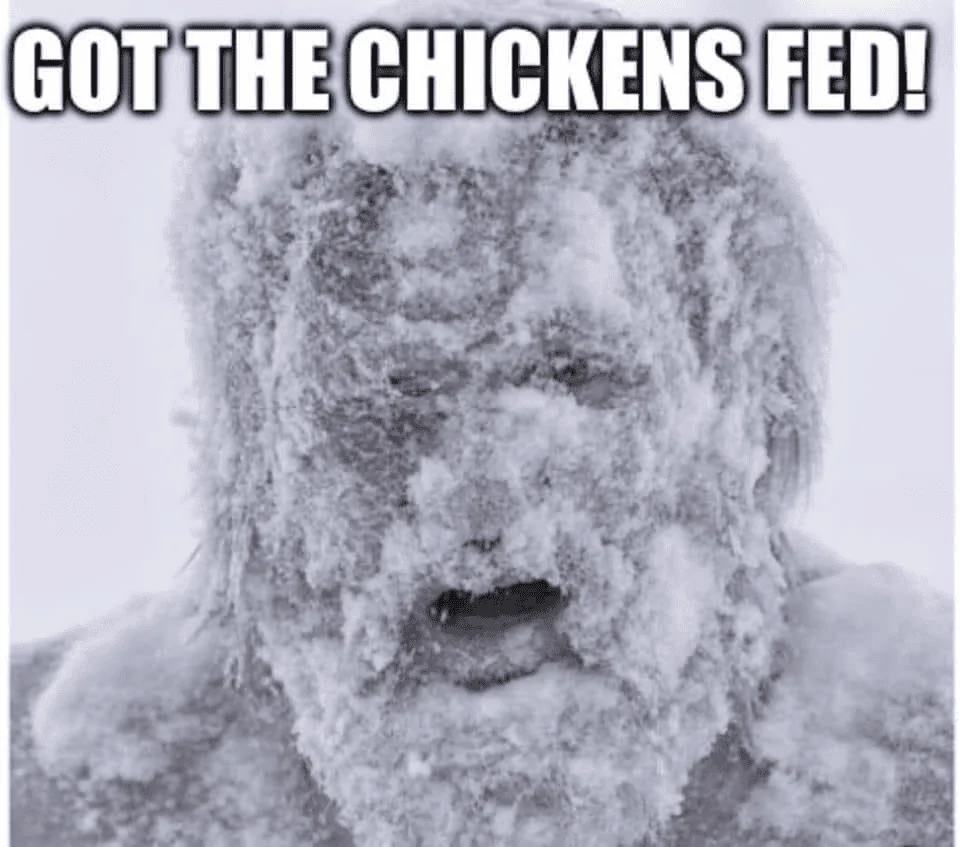 Ford Maverick So how has your Maverick fared with Winter Storm Elliott? got the chickens fed