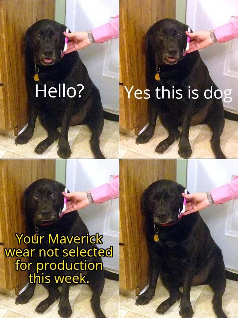 Ford Maverick Maverick Memes -  fun diversion while we wait [ ** NO POLITICS ** ] Yes This Is Dog 2 24092021051143