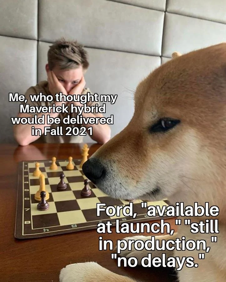 Ford Maverick Maverick Memes -  fun diversion while we wait [ ** NO POLITICS ** ] Doge Playing Chess 25092021070142