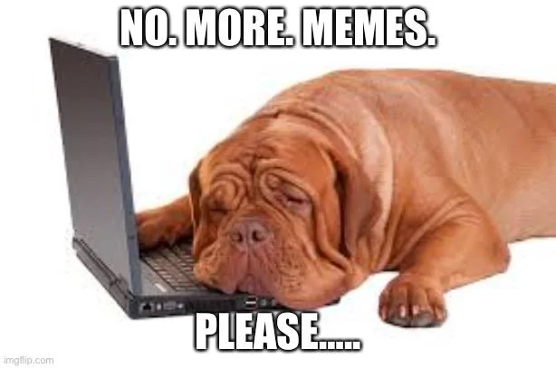 BA9EEEAD-B5F8-4FD2-8B31-5A80F39A68EA.jpeg