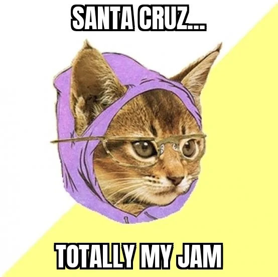 Ford Maverick Maverick Memes -  fun diversion while we wait [ ** NO POLITICS ** ] Hipster Kitty 26092021184856