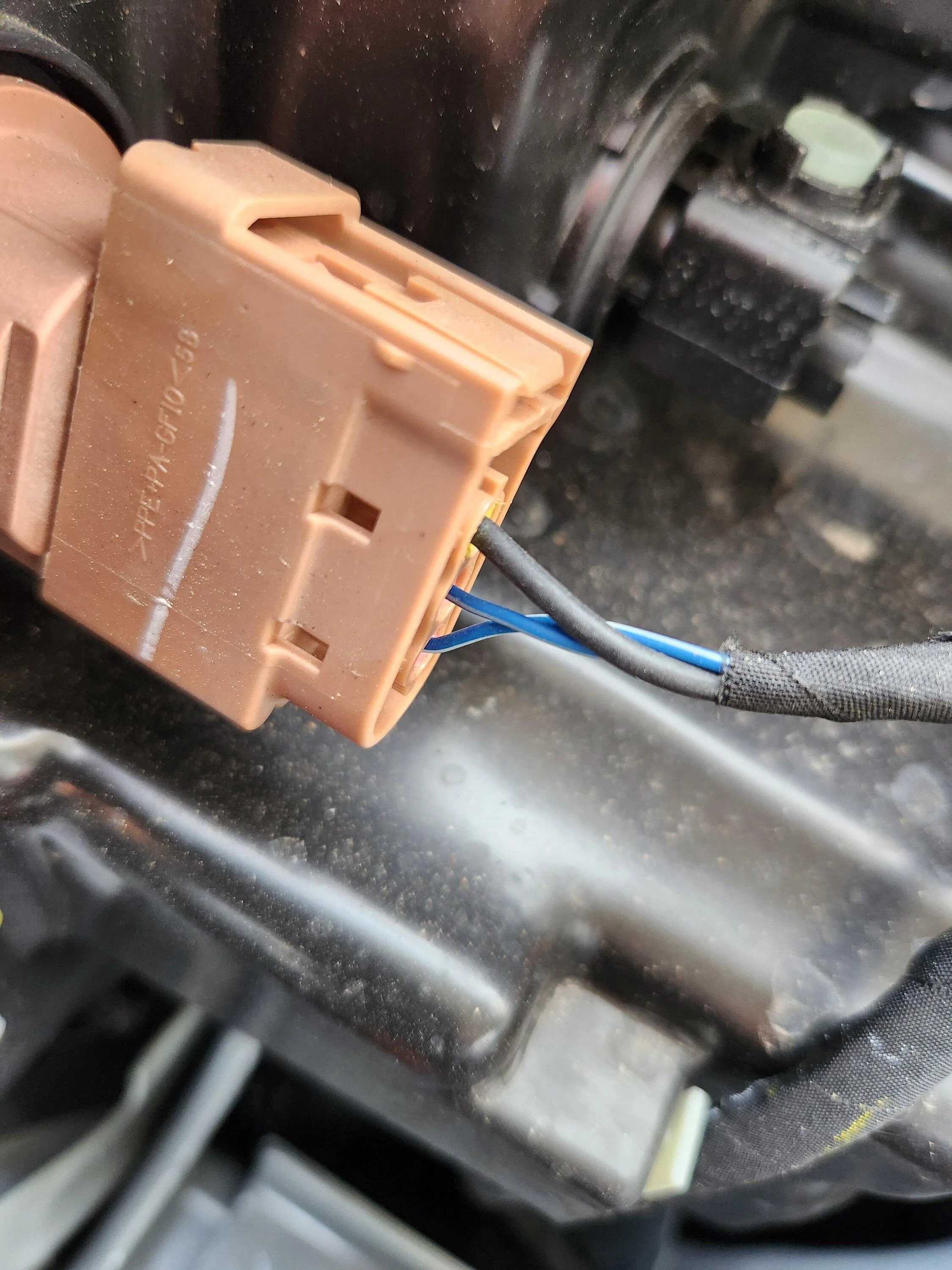 Ford Maverick Front turn signal pinout at lamp connectors 20230101_162758