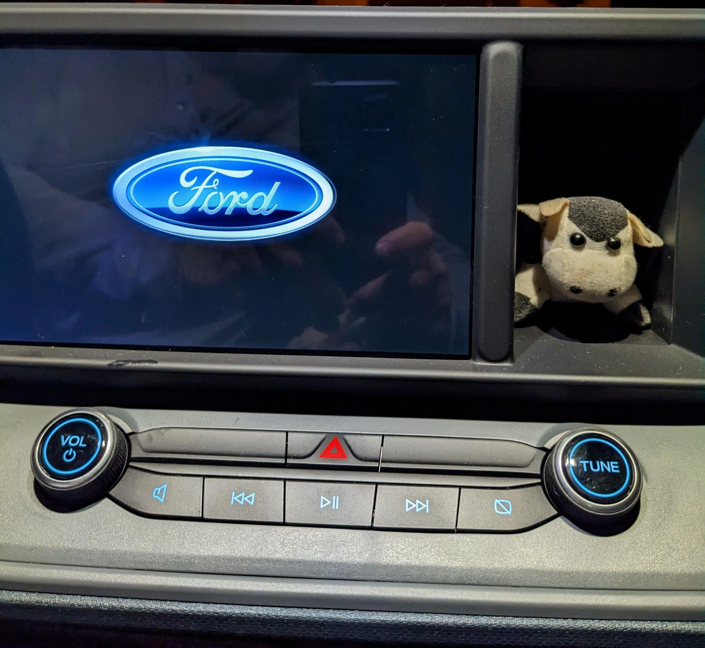 Ford Maverick The Price Bubble is Popping (like my knees in spring) Cow (anna)