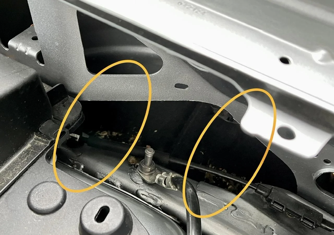 Ford Maverick Them sonofabitches!!!! rodents - I hate them 8D71DEEA-DBD3-44D1-B837-F5F40799C98D