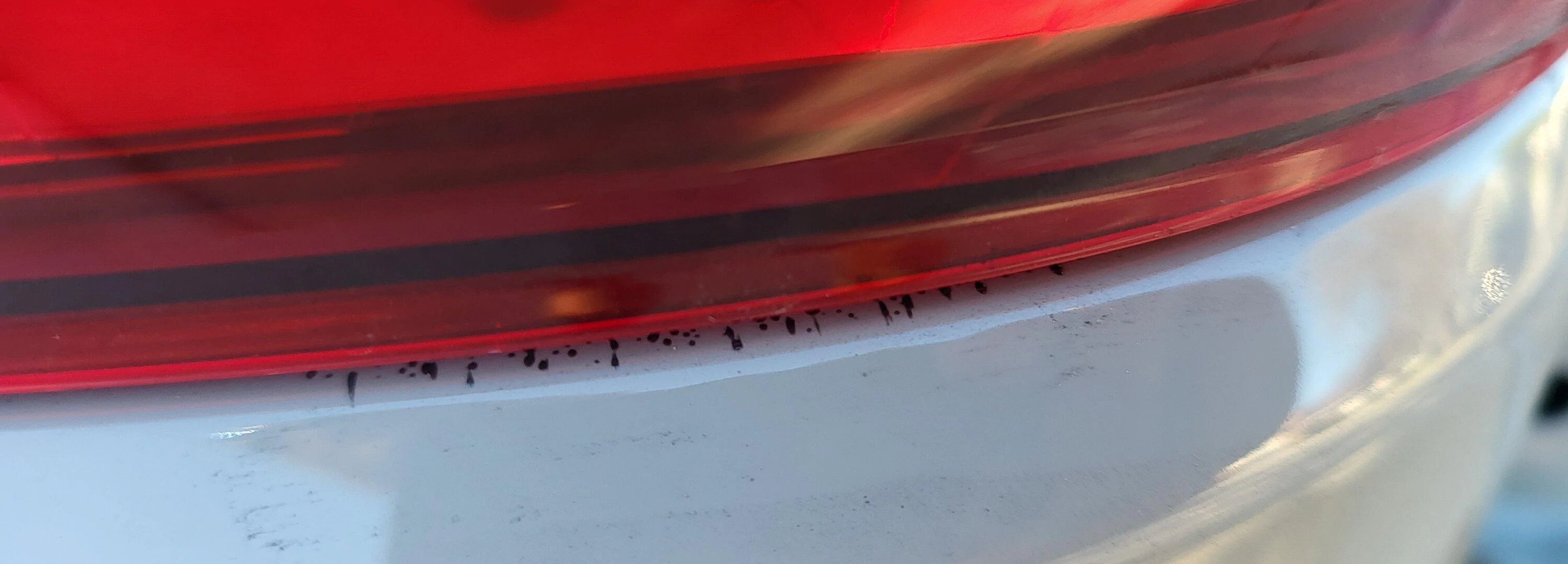 20230126_150846.jpg