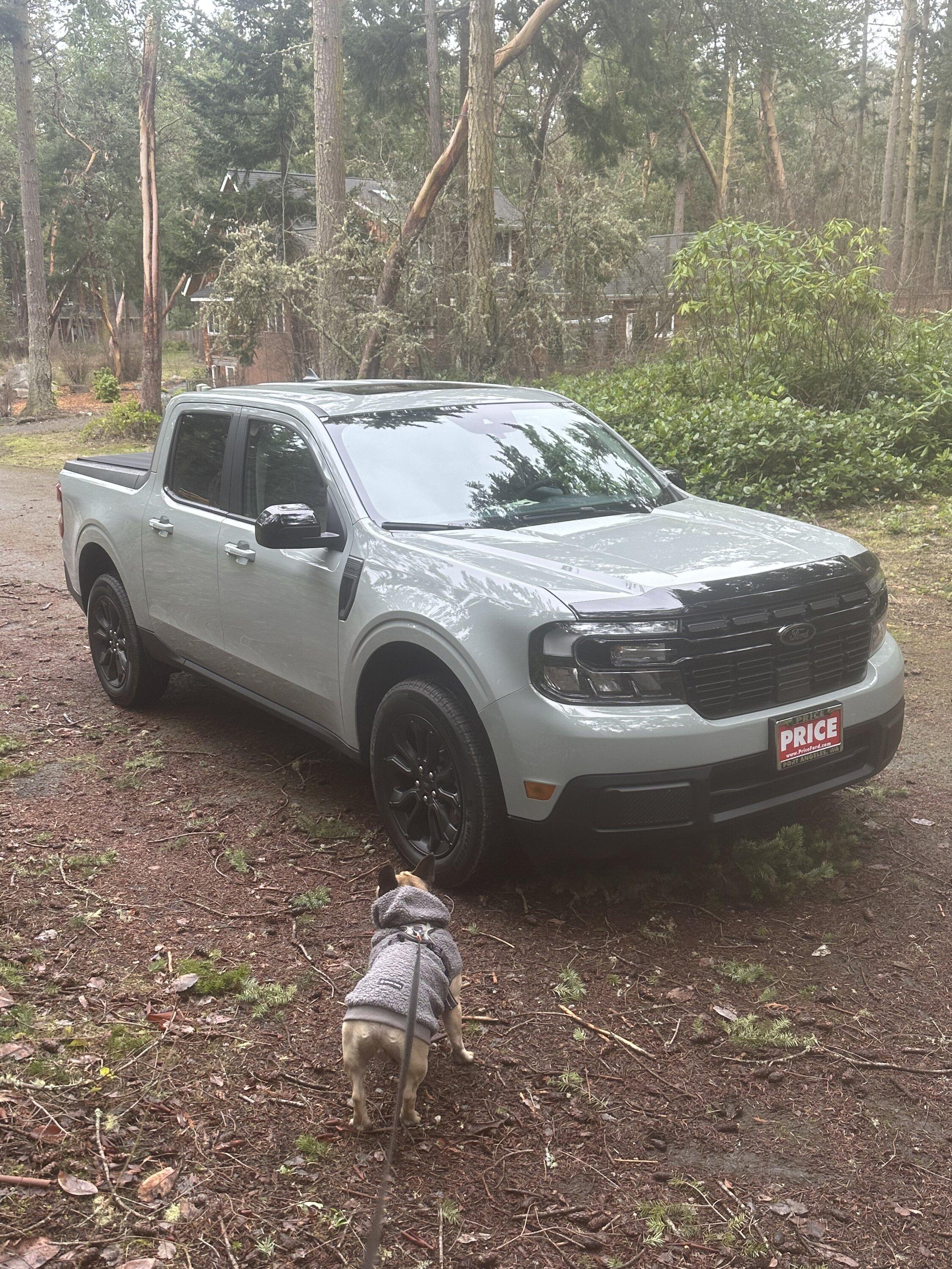 Ford Maverick My BAP Cactus Gray Lariat LUX Hybrid is here!! 0DEA84C1-9702-4BA5-BE00-08D6BD6078C8