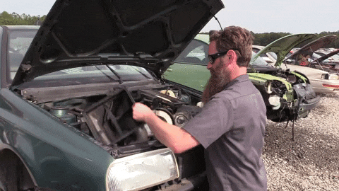 Ford Maverick Parking Brake, Off Road symbol, Electrical symbol - No Adaptive Cruise control giphy