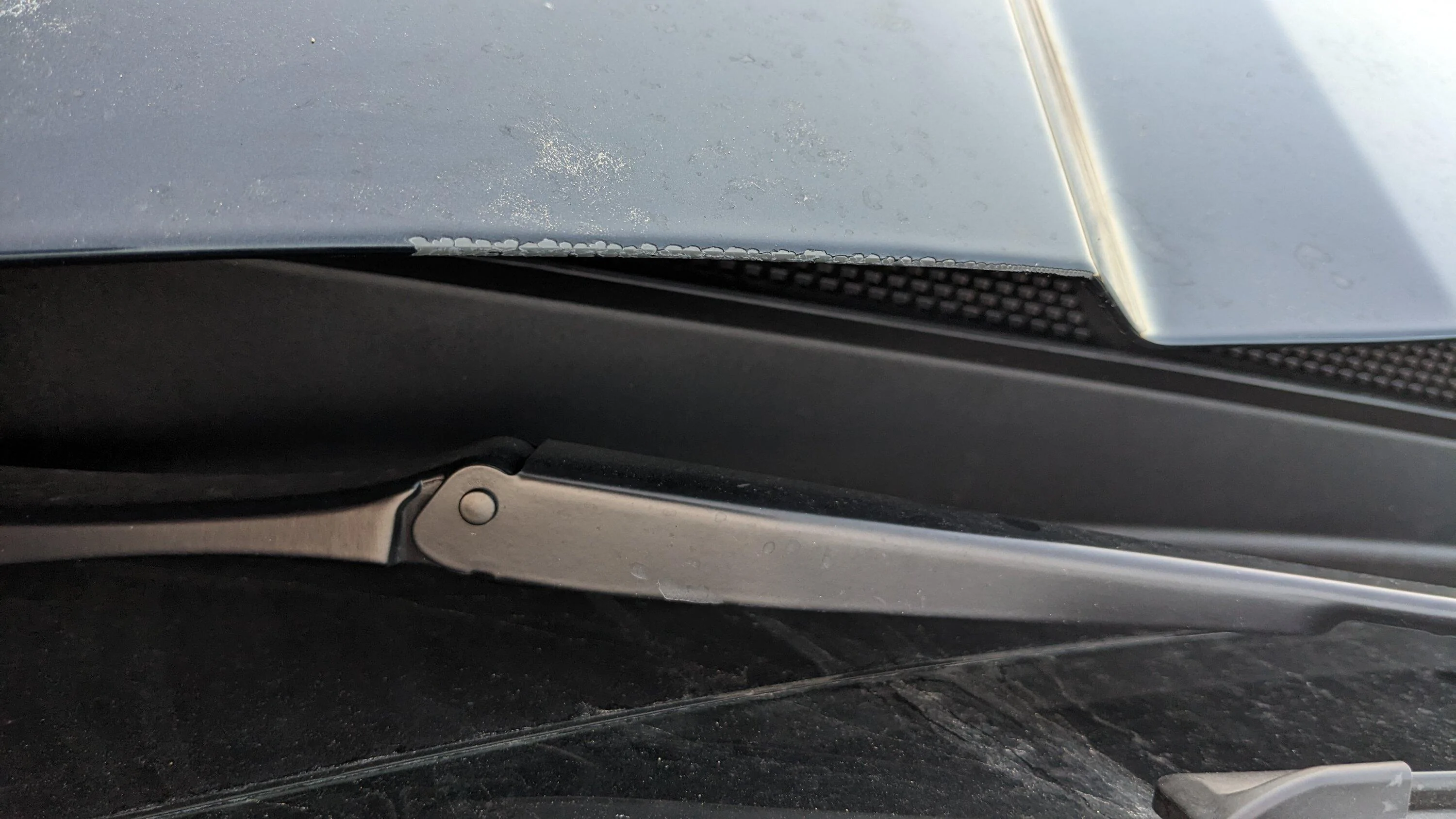 Ford Maverick Hood paint rubbed off from wiper PXL_20230215_124817825