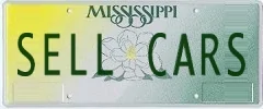 Ford Maverick Personal license plates / vanity plate for your Maverick?? license_20230215131358_79233
