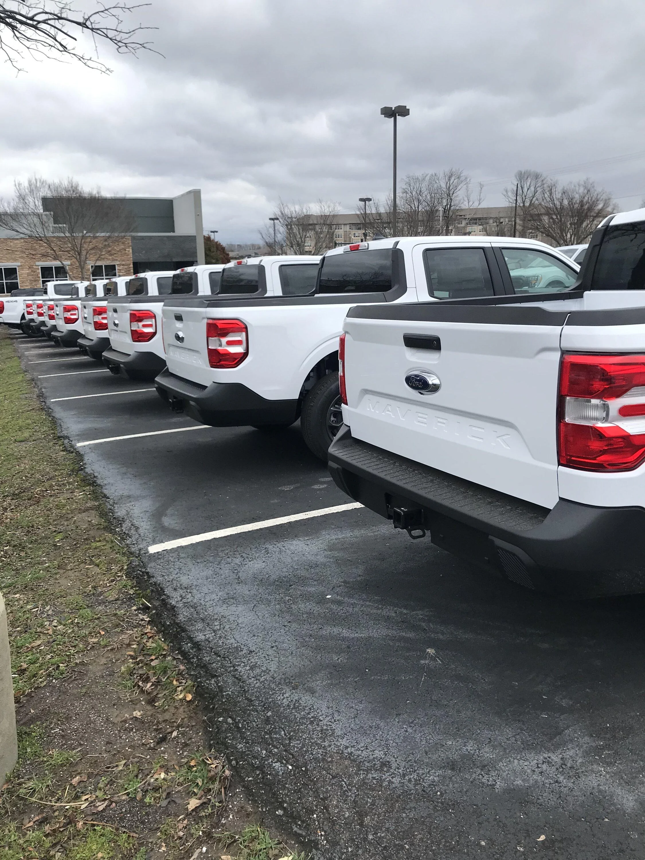Ford Maverick Spotted: Fleet XLT Mavericks (all with trailer hitch)! IMG-6343