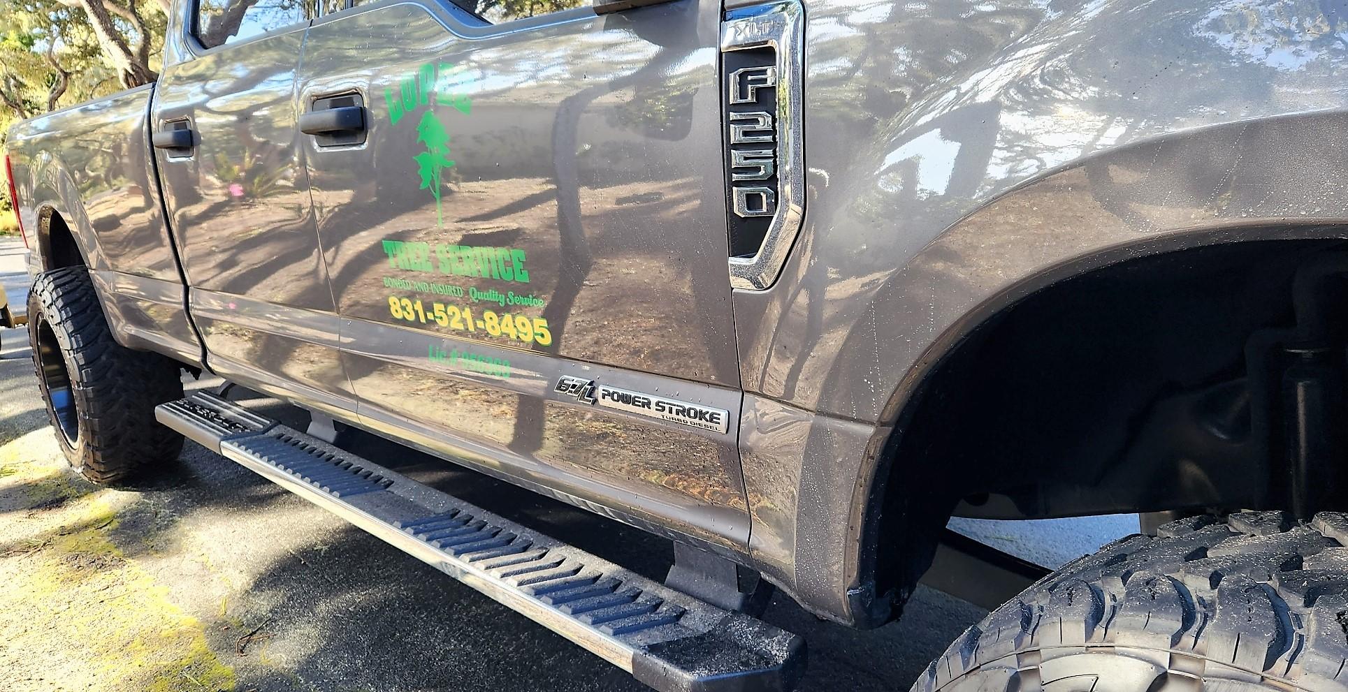 Ford Maverick Tree Service Maverick Mav b