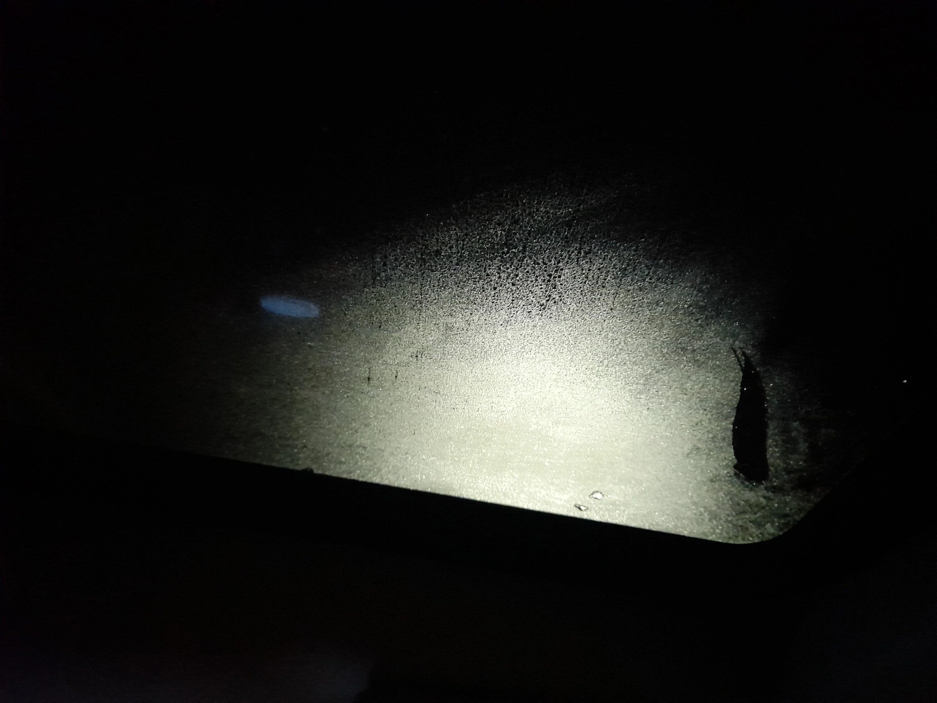 Ford Maverick Sunroof leaks foggy inside condensation 20230110_183227