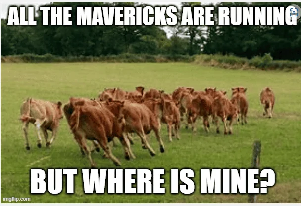 Ford Maverick Maverick Memes -  fun diversion while we wait [ ** NO POLITICS ** ] 1677512987943