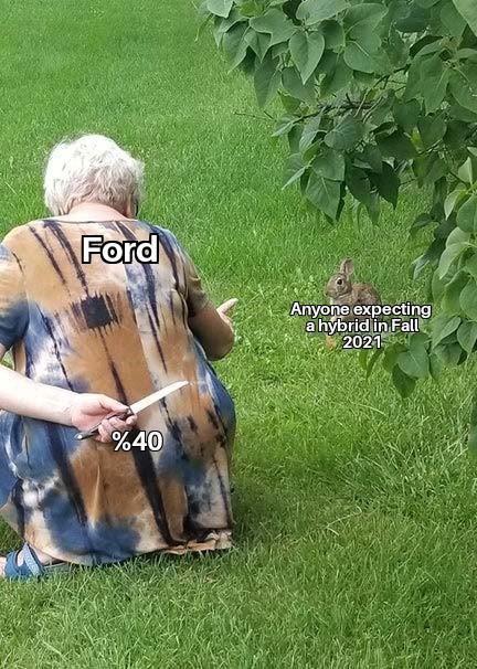 Ford Maverick Maverick Memes -  fun diversion while we wait [ ** NO POLITICS ** ] Grandma Hiding Knife From Rabbit 29092021220145