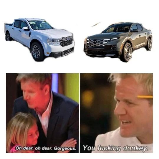Ford Maverick Maverick Memes -  fun diversion while we wait [ ** NO POLITICS ** ] Gordon Ramsay Gorgeous Donkey 02102021184557