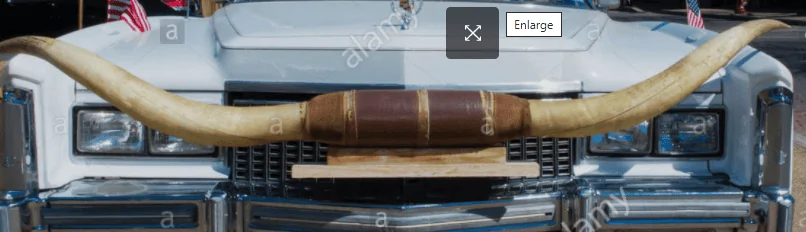 Ford Maverick Grille replacement? 1633233900132