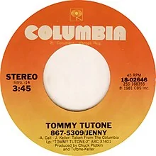 Ford Maverick Owners manual humor x-Tommy_Tutone_-_867-5309_Jenny_%28single_cover%29