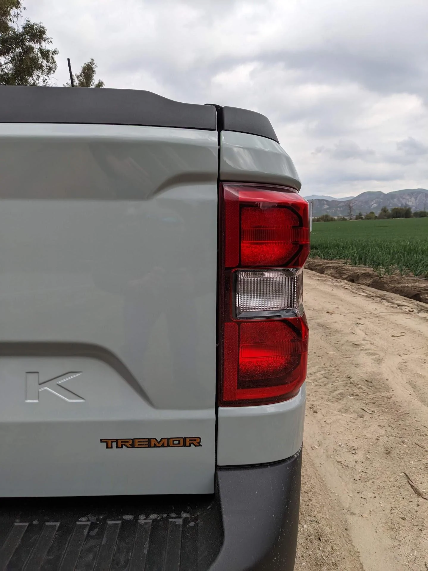 Ford Maverick Tremor cactus gray is here PXL_20230304_184229568