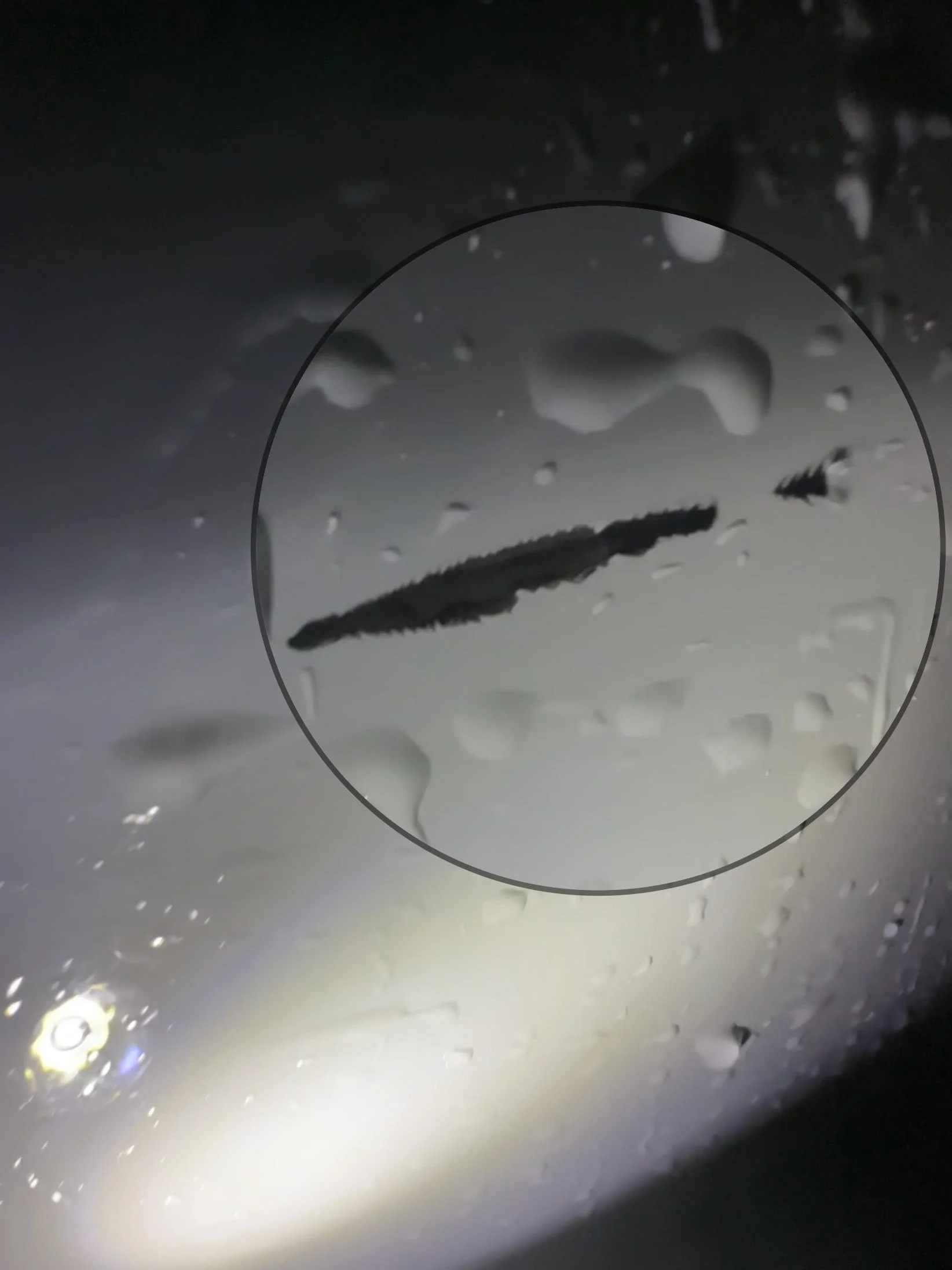 Ford Maverick Paint Chipping  ?? 0F235150-B32D-489C-B6A6-9A9F4EDB4406