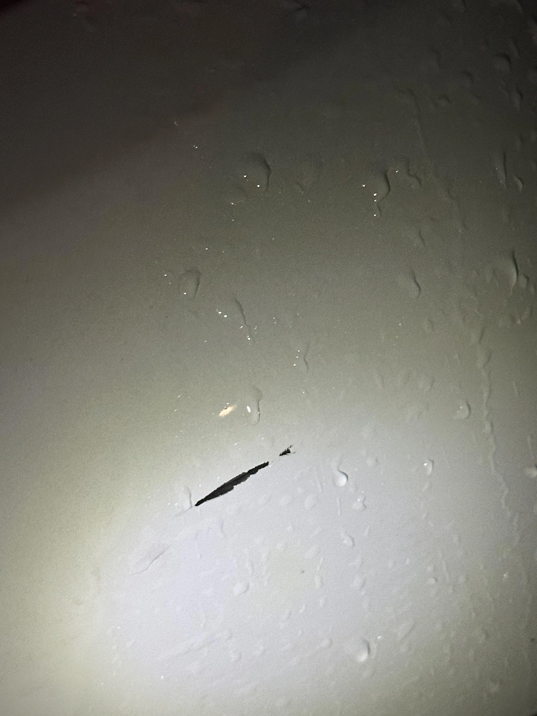 Ford Maverick Paint Chipping  ?? 02D60E11-9BE2-4C56-8FD9-651EEBD1D7DC
