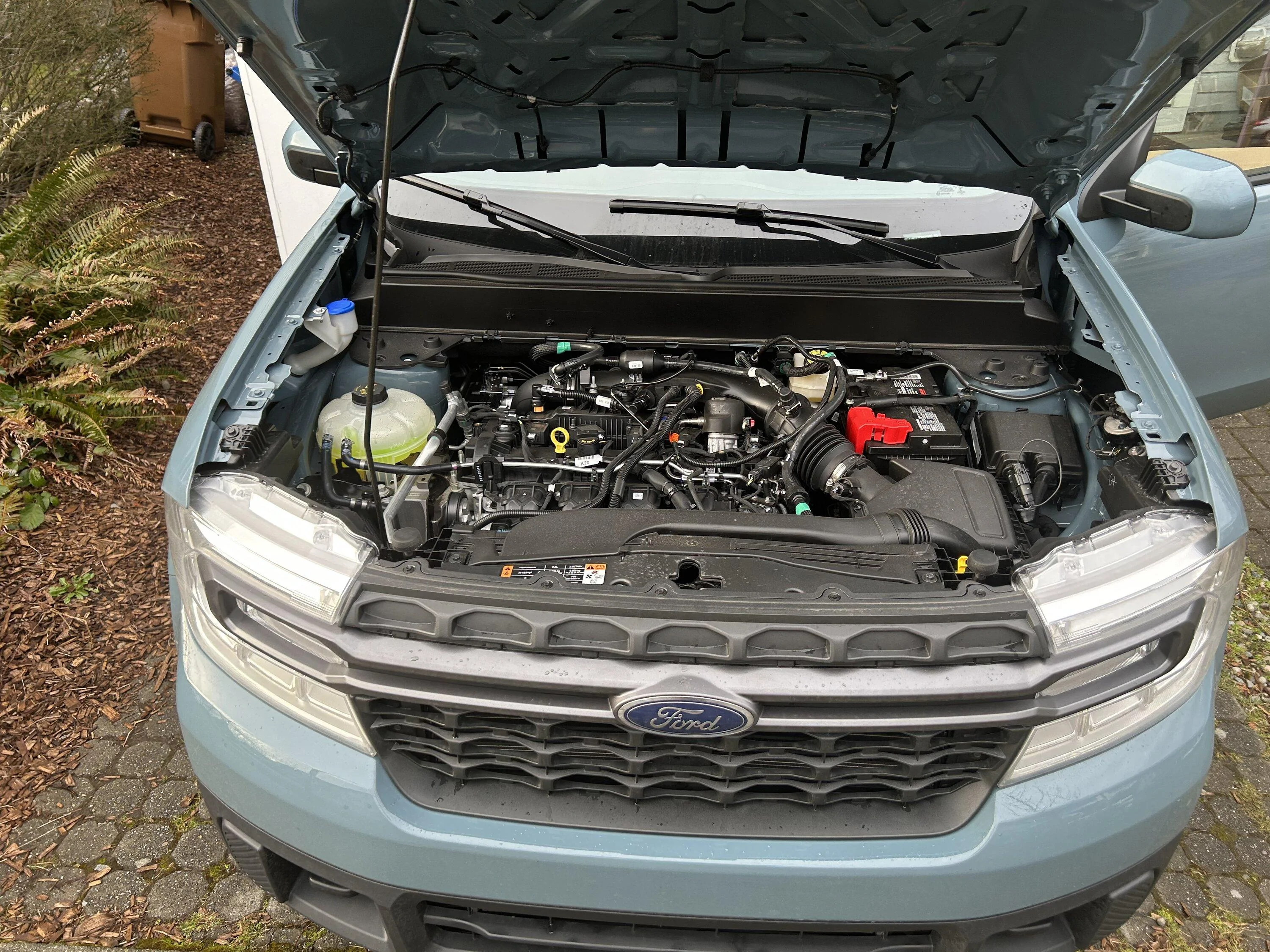 Ford Maverick 2023 Mav XLT FX4/AWD/Towing/Luxury/EB/Area 51 BBB01933-4D1C-4BDC-A22C-470928F14829