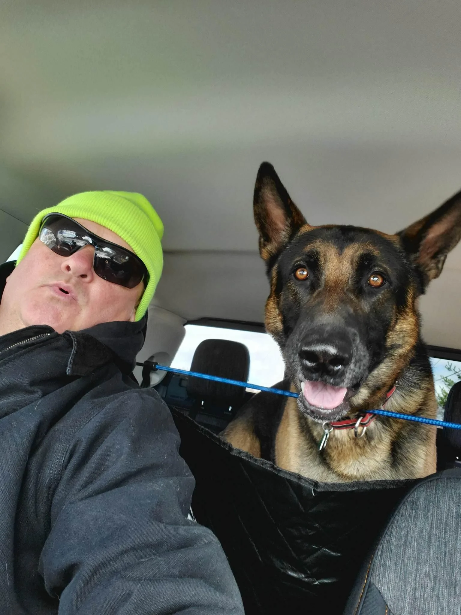 Ford Maverick Dog approved? 🐕 How does your pup like your Maverick? 336265502_957019368793370_5736481117933292292_n