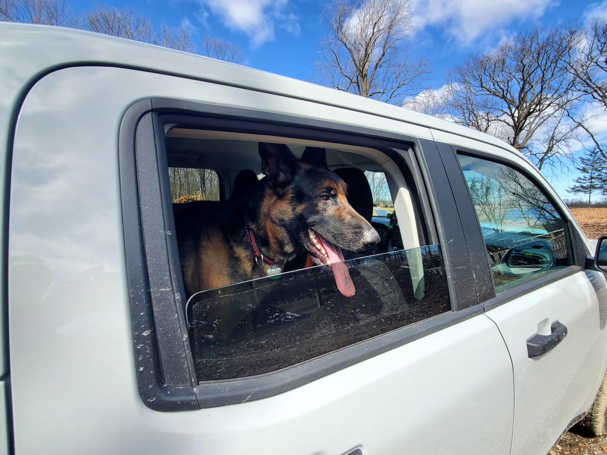 Ford Maverick Dog approved? 🐕 How does your pup like your Maverick? 336209310_1424859231591094_6694842240804700906_n