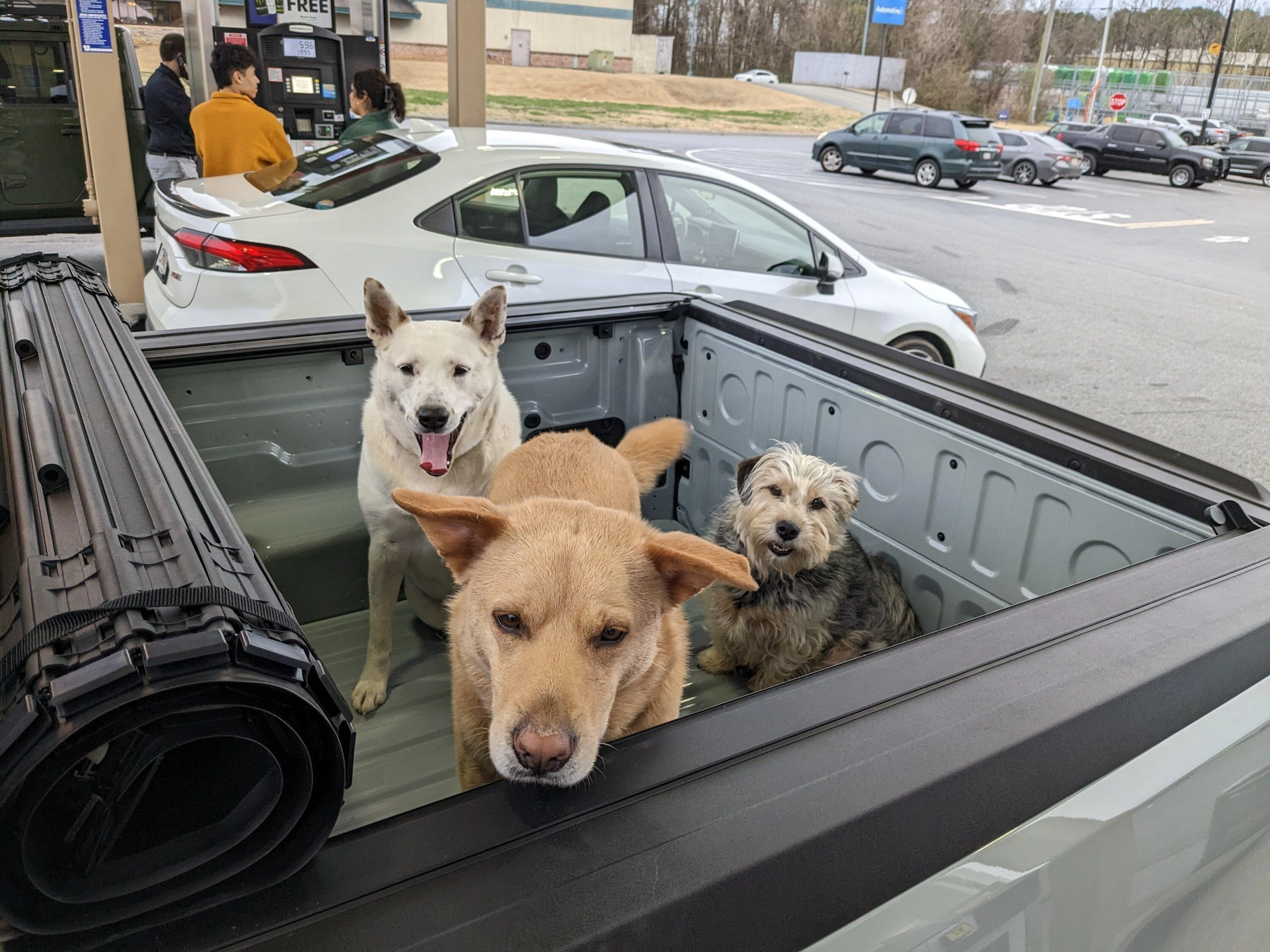 Ford Maverick Dogs in the Lariat? Scratches / damage? PXL_20230210_223654280.MP