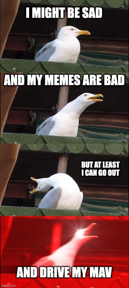 Ford Maverick Maverick Memes -  fun diversion while we wait [ ** NO POLITICS ** ] mav