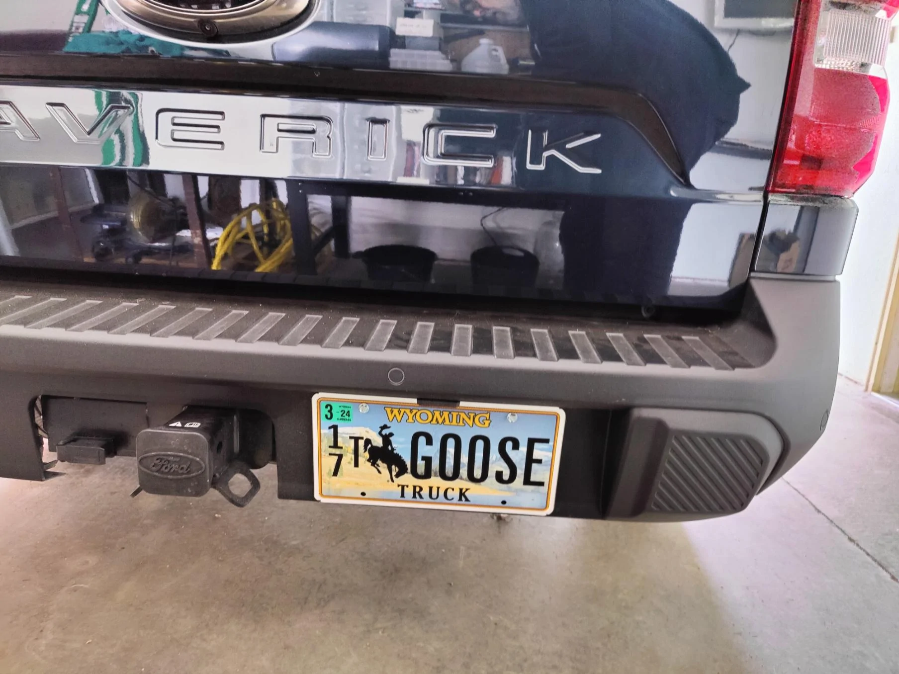 Ford Maverick Personal license plates / vanity plate for your Maverick?? goose rear