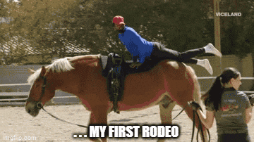 Ford Maverick Maverick Memes -  fun diversion while we wait [ ** NO POLITICS ** ] 7gri9h