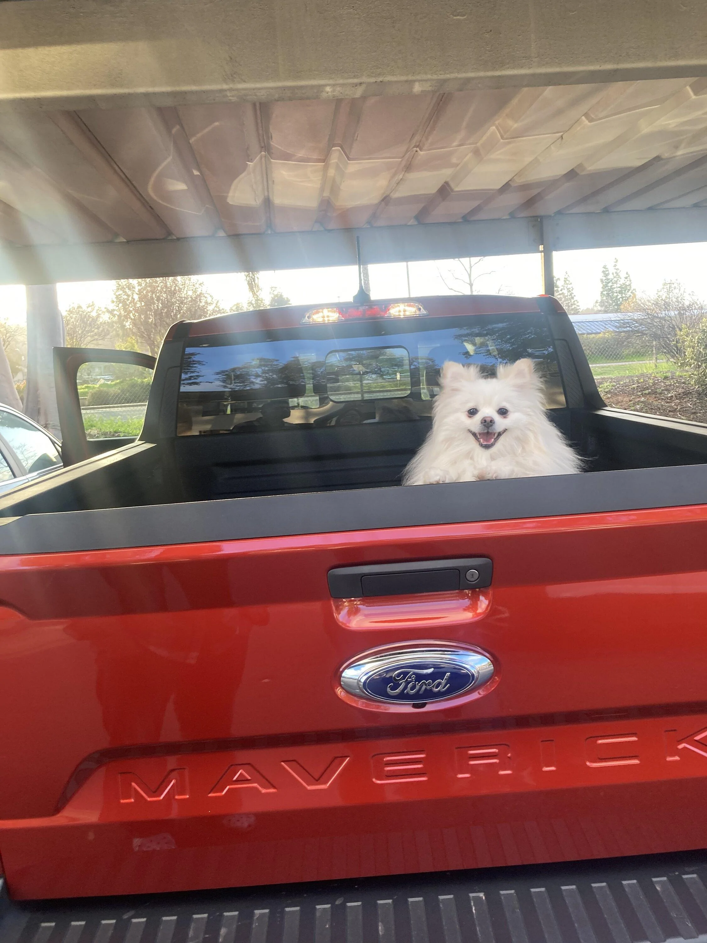 Ford Maverick HOT PEPPER RED Maverick Photos Thread 9FC0FE14-29B8-4579-B3DC-1EB8DD0118EE