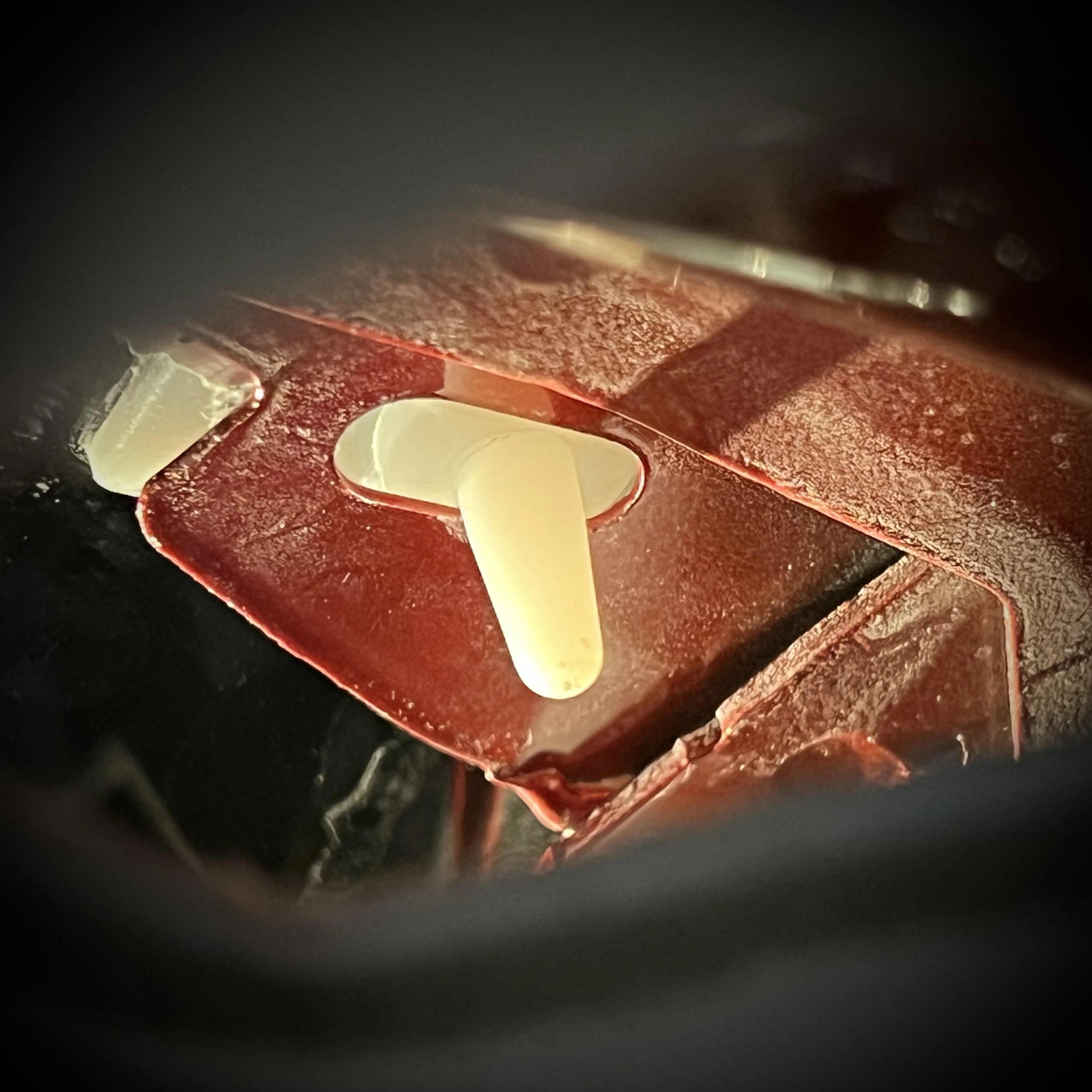 Ford Maverick Windshield Alignment Pin - Rattle Silenced…finally. IMG_7556