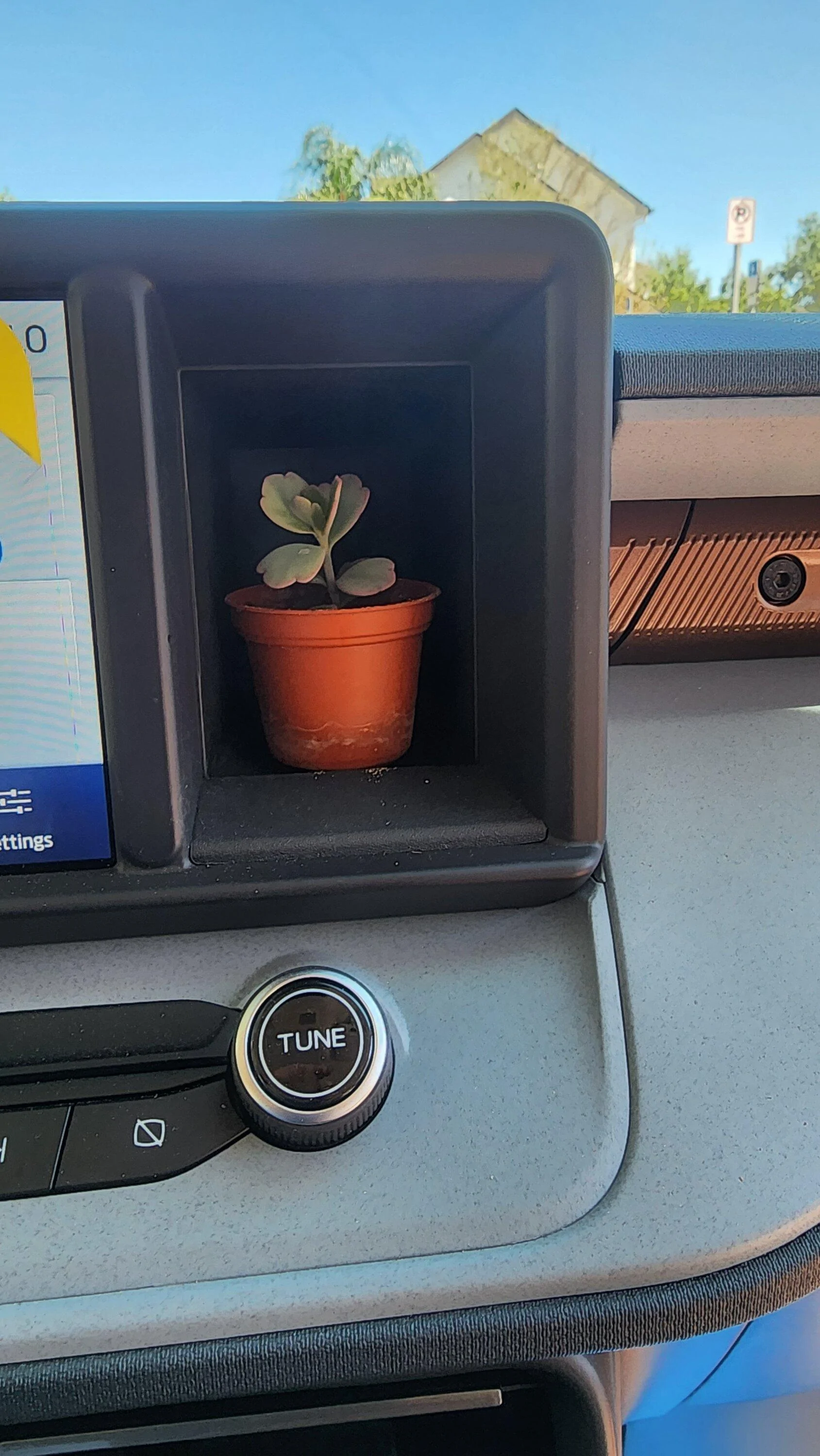 Ford Maverick Dash cubby hole -- what's in yours? 📸 20230324_145541