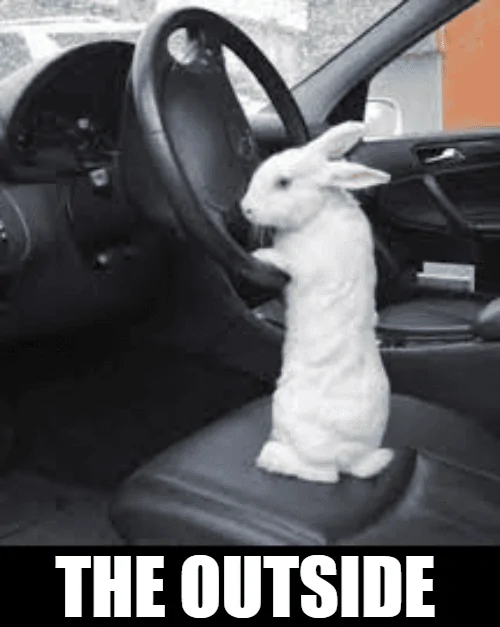 Ford Maverick Maverick Memes -  fun diversion while we wait [ ** NO POLITICS ** ] download (78)