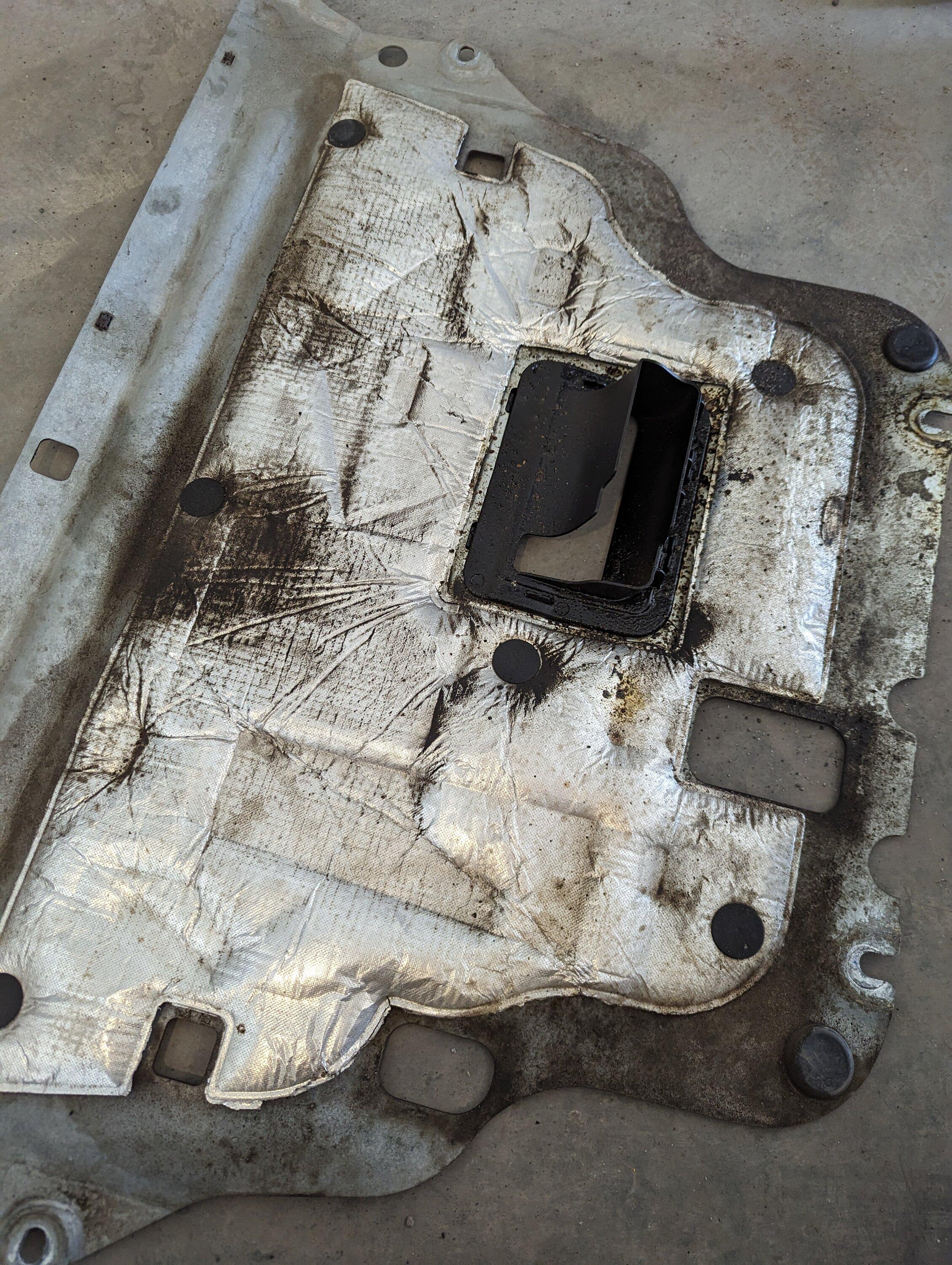Ford Maverick Oil Leak at 5500 PXL_20230415_190347348