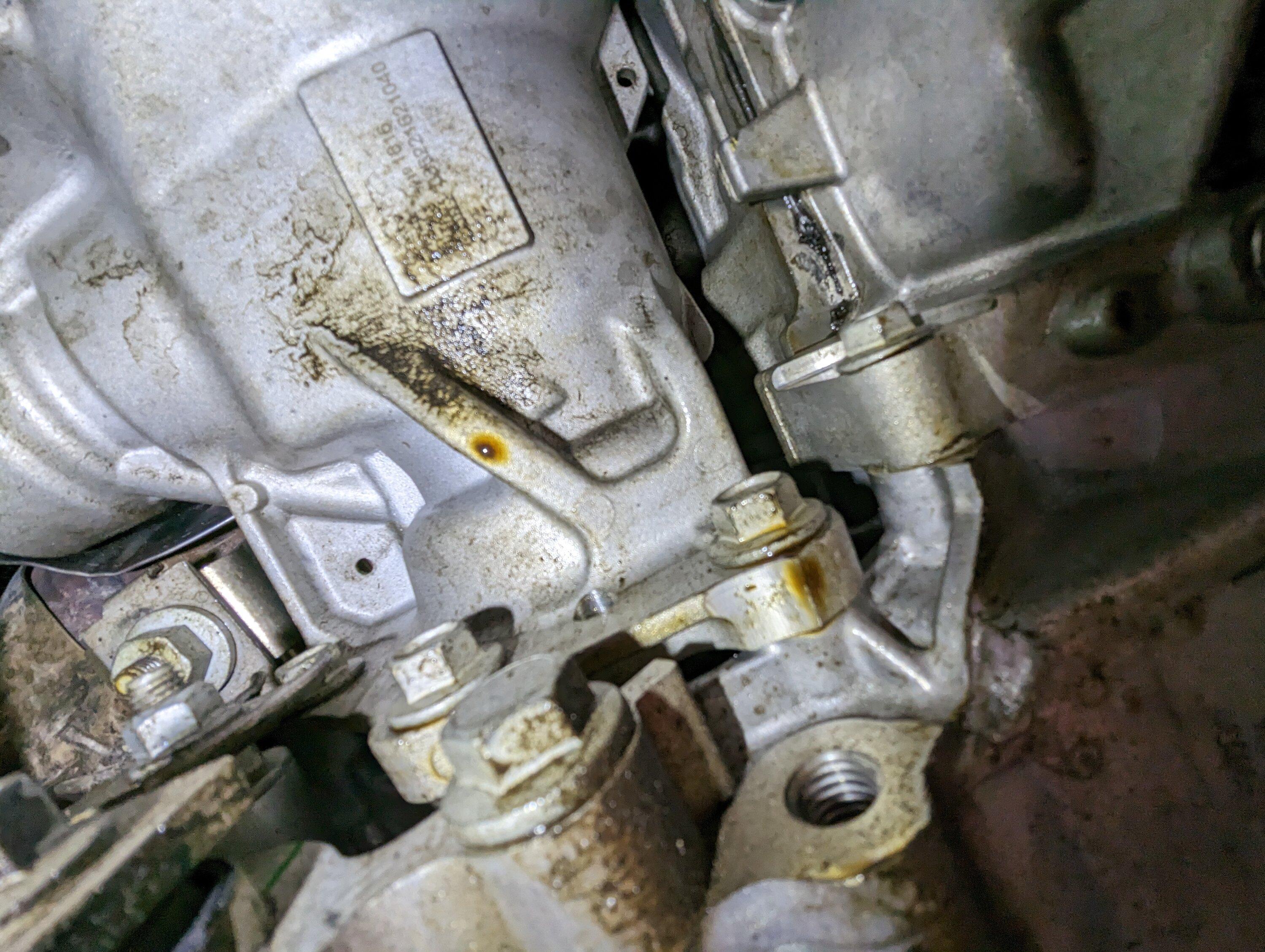 Ford Maverick Oil Leak at 5500 PXL_20230415_190911242