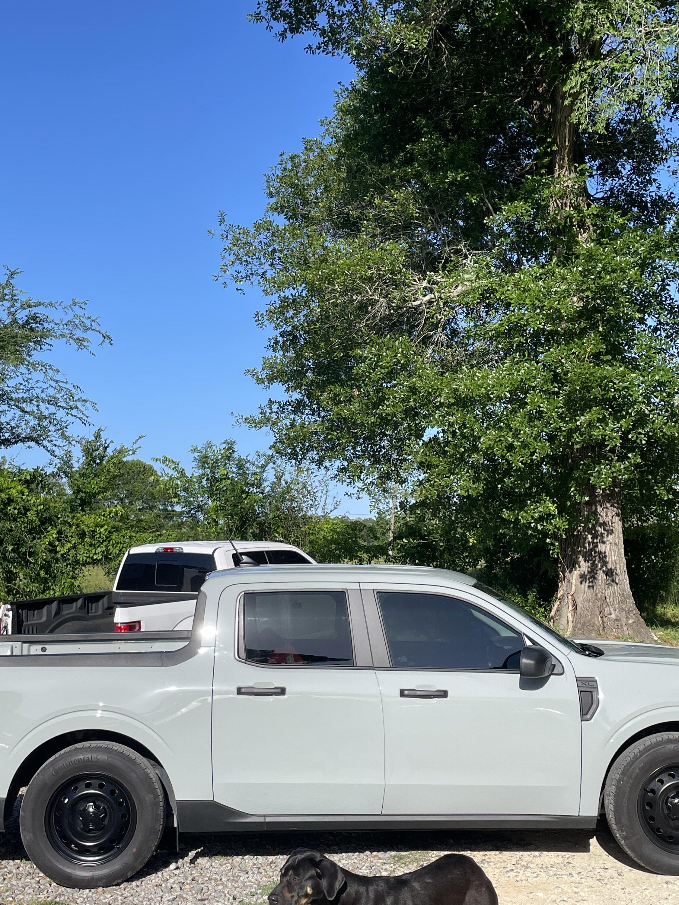 Ford Maverick Before & After: Lowered Maverick on Eibach Springs (2022 XL FWD) 8F5AA313-6DB5-4834-B900-7CD7F82A4B27