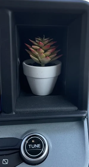 Ford Maverick Dash cubby hole -- what's in yours? 📸 flower