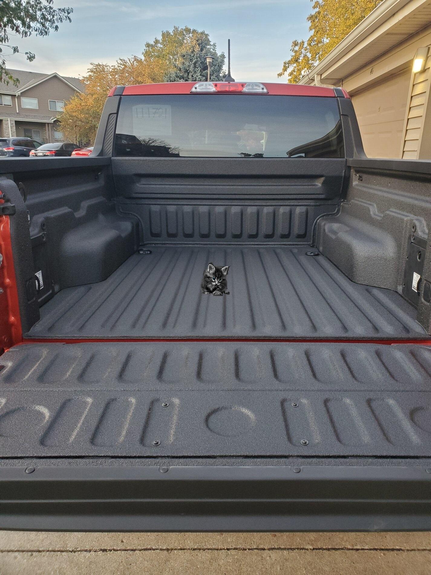 Ford Maverick What's your Maverick hauling in the bed? [Photos Edition] kitty3
