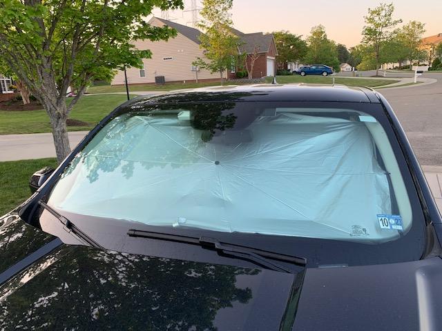 Ford Maverick Windshield sunshade which did you buy? IMG_1903
