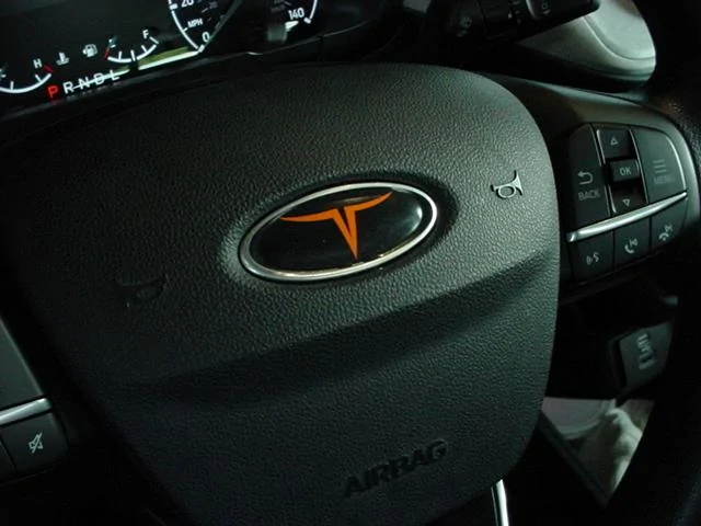 Ford Maverick Fender Badge Decorating Ideas? DSC02515