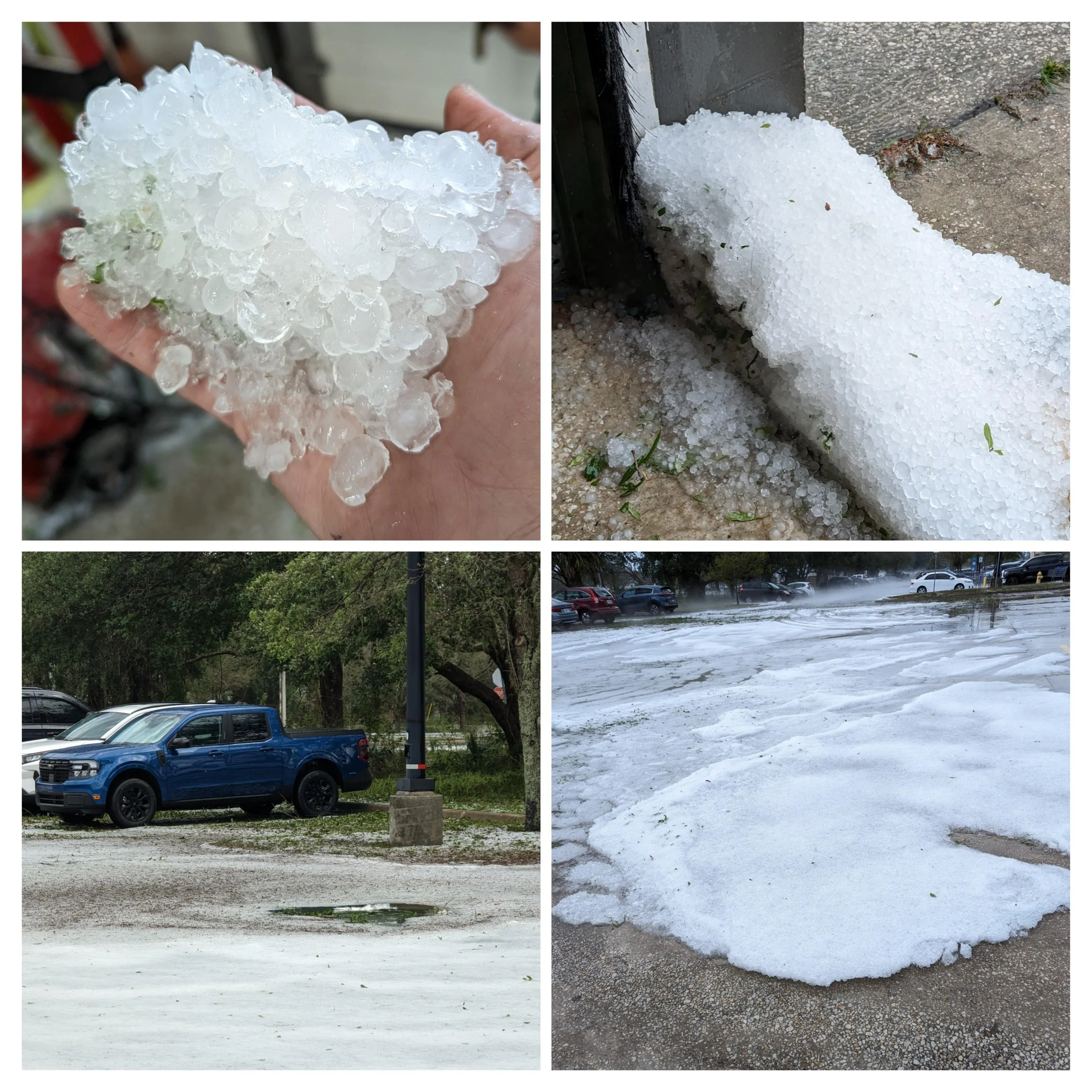 20230426_174104-COLLAGE.jpg