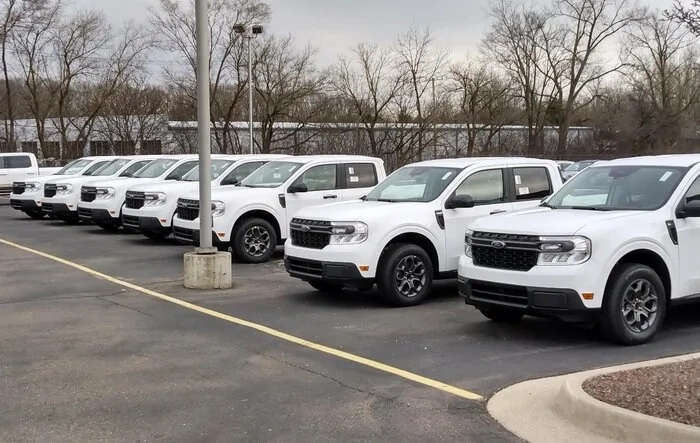 Well this is different.... 7 white Mavericks