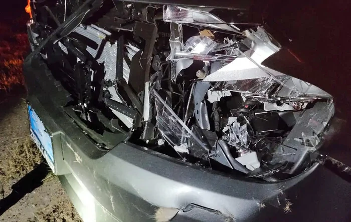 Maverick totaled in deer strike