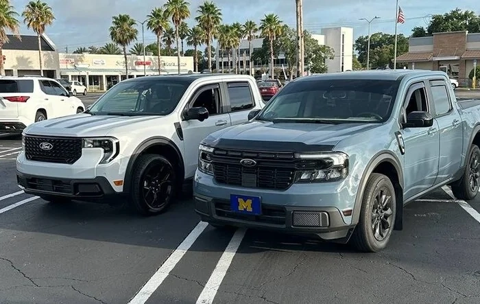 Father and Son Mavericks