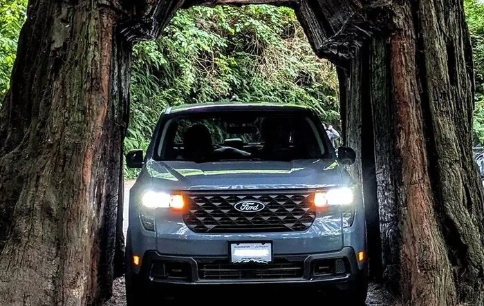 Trip to the Redwoods! (1,500 miles total)