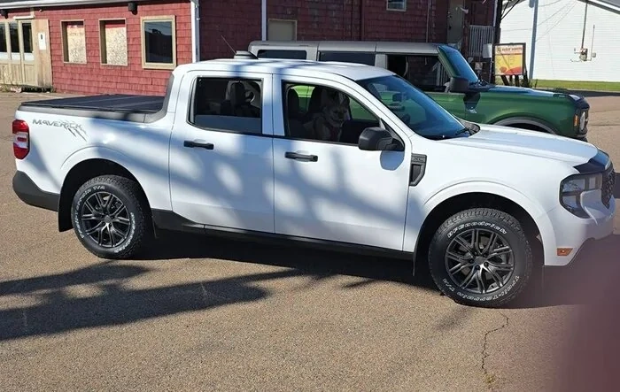 New tires: 225/65/17 BFGoodrich Trail Terrain
