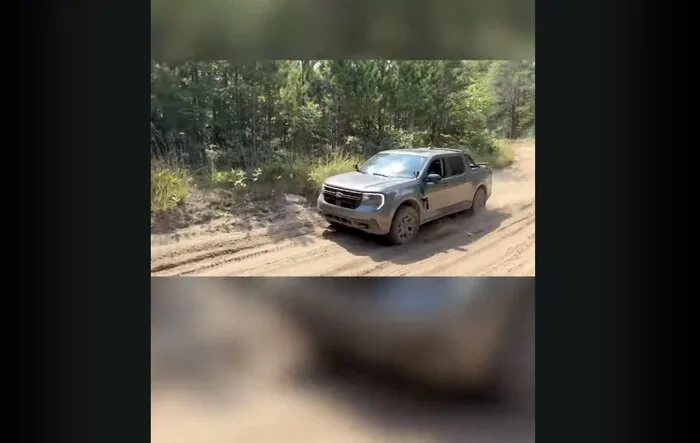 Tremor out on the trails!