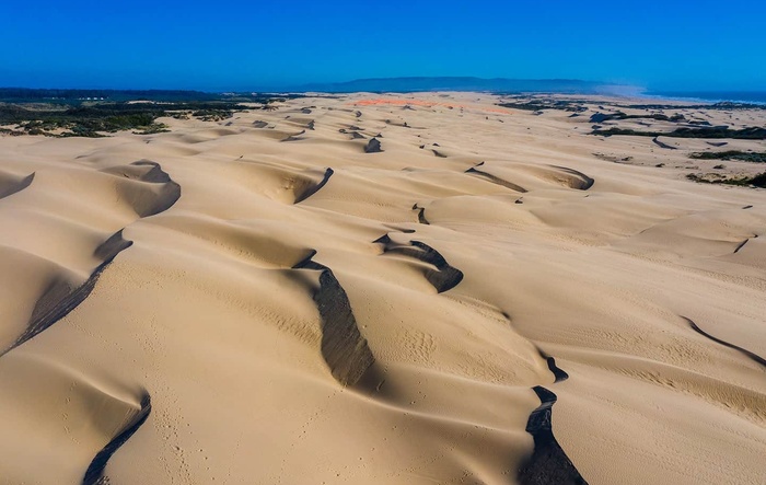 Maverick Tremor at Oceano Dunes SVRA